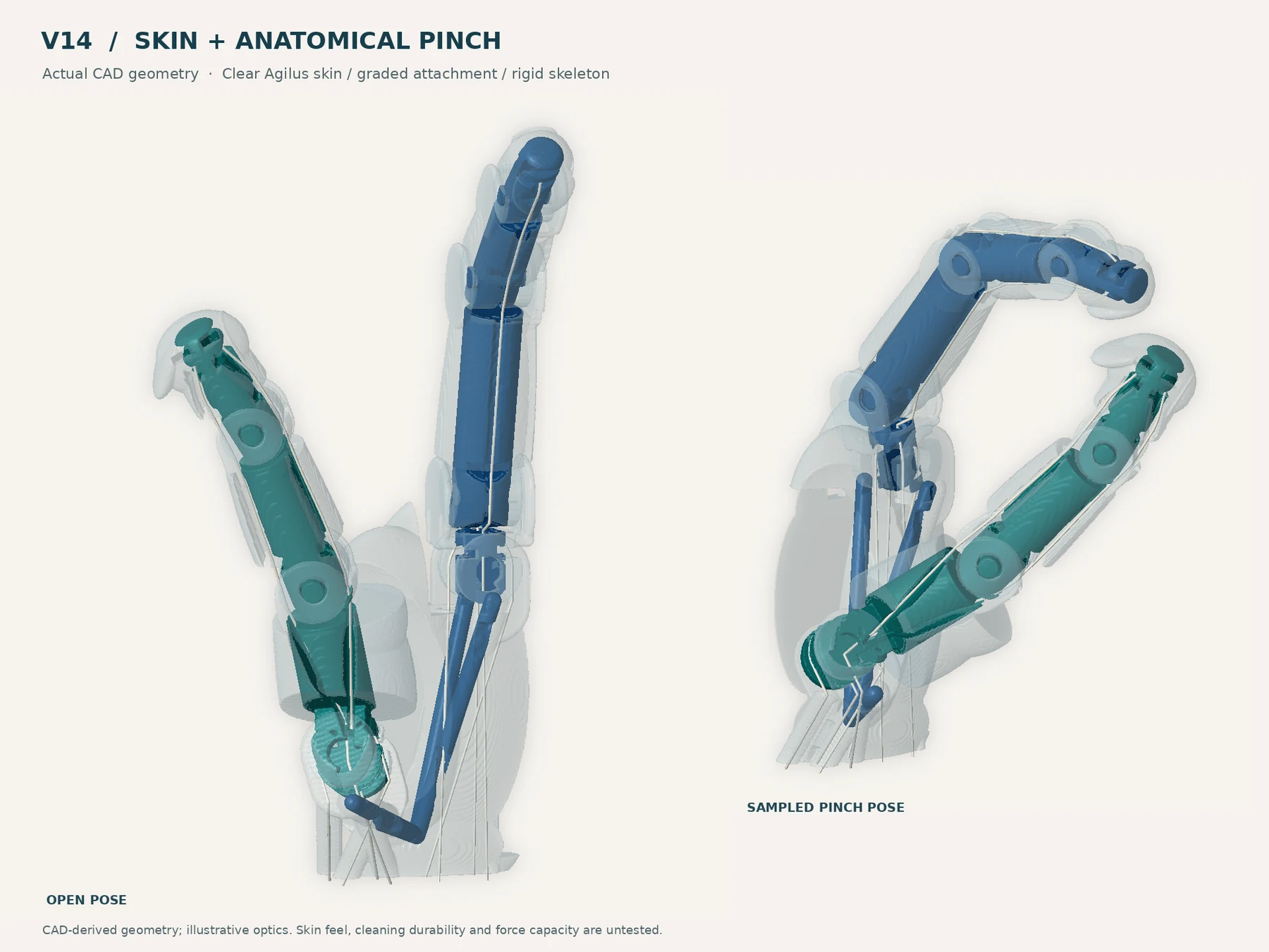V14 CAD study showing clear skin over blue and teal internal structures in two poses